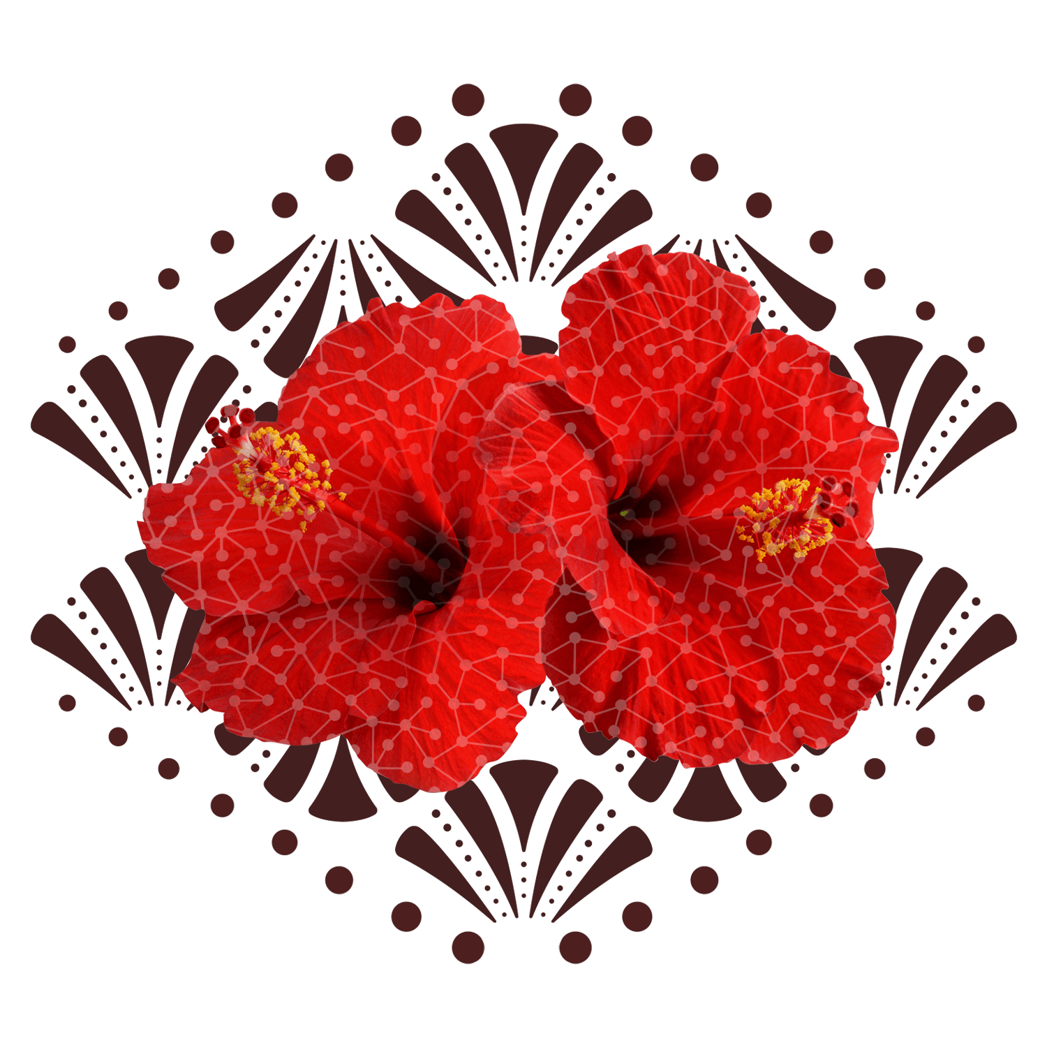 Hibiscus flower floating art from SoulCentro