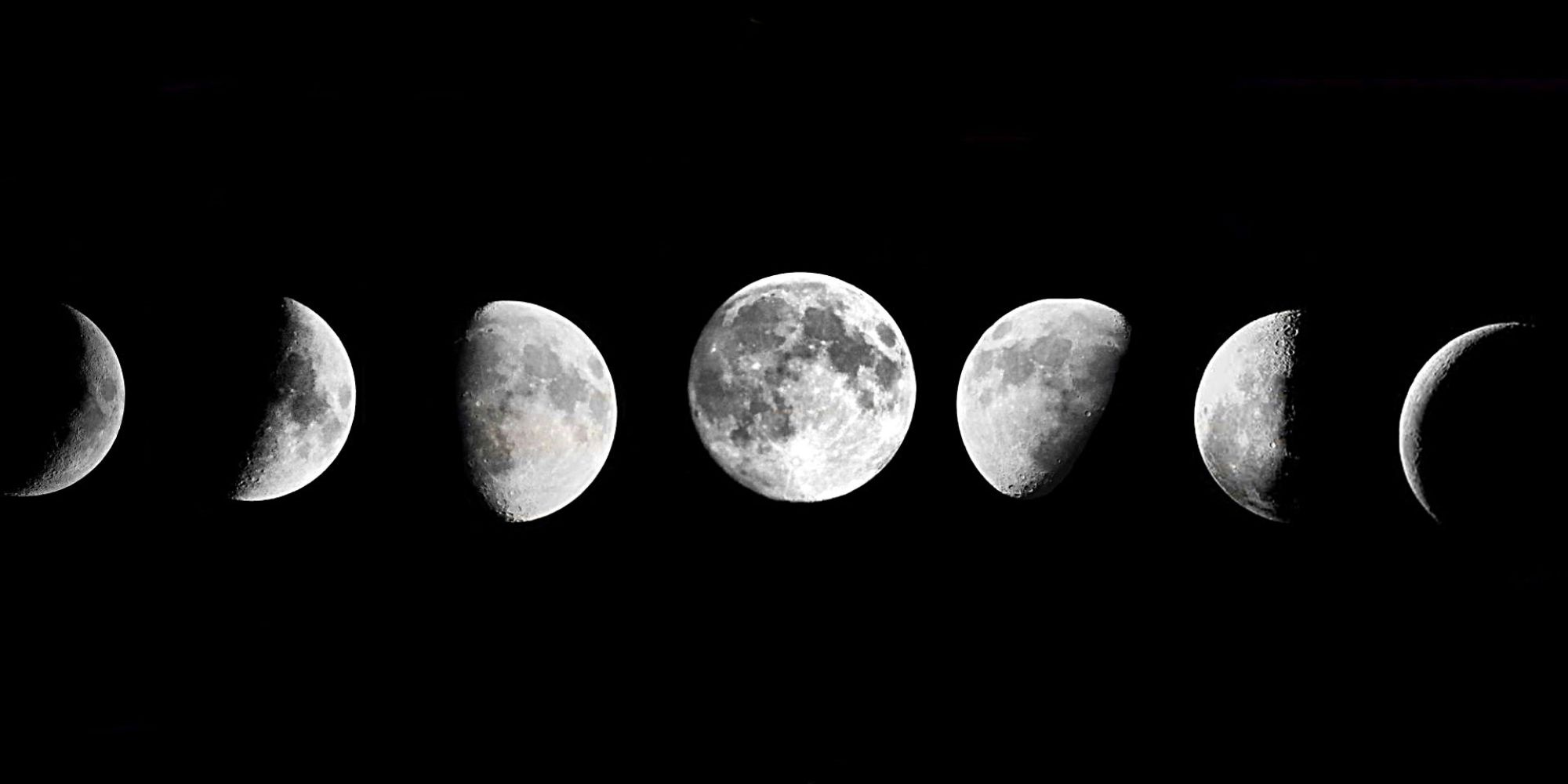 phases of the moon