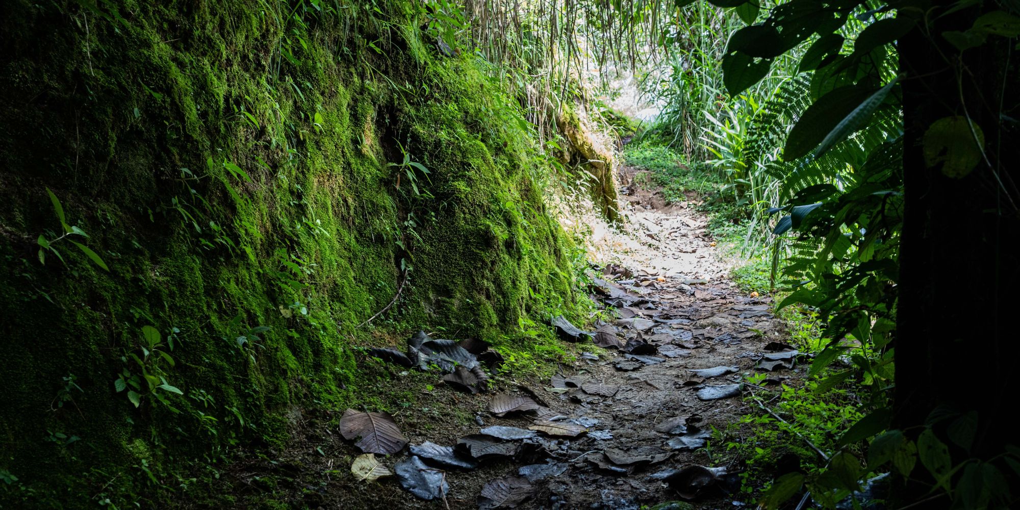 path
