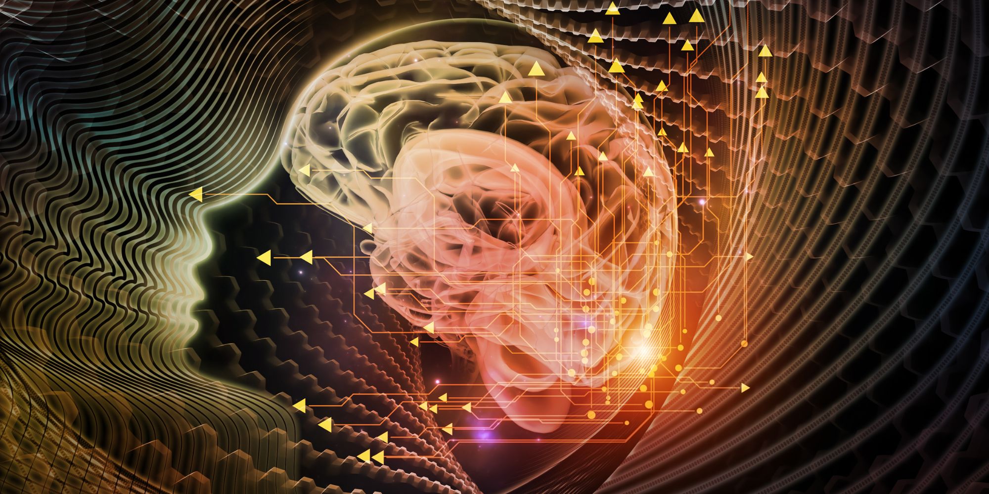 brain illustration